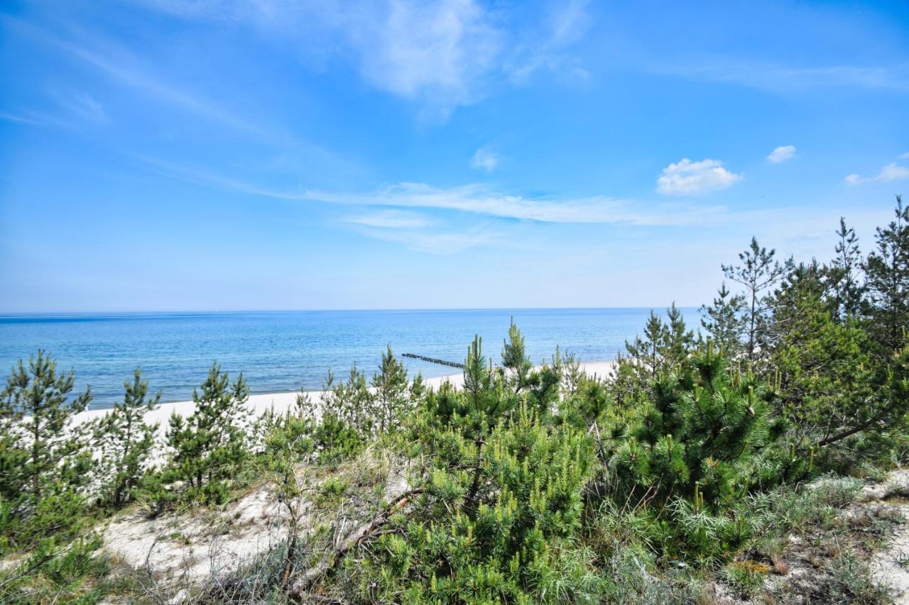 Apartament Rogowo Rogowo  Εξωτερικό φωτογραφία